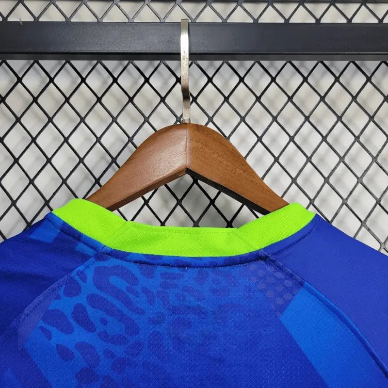 Brasil 2025 Visitante