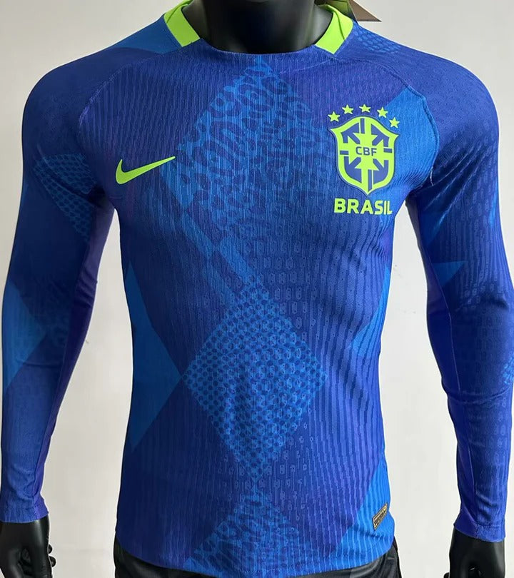 Brasil 2025 Visitante